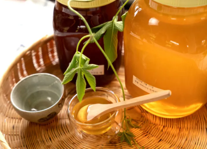 6시 내고향 순창 꿀 택배 주문 및 고추장 체험 상세 안내