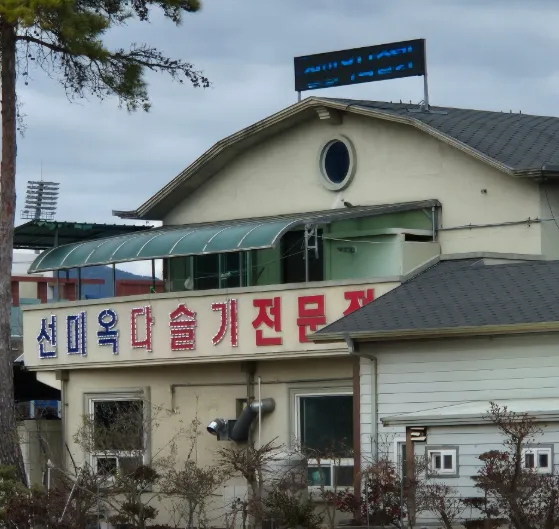 생방송투데이 봄의 활력 3GO 여행 편 다슬기 맛집 위치 정보