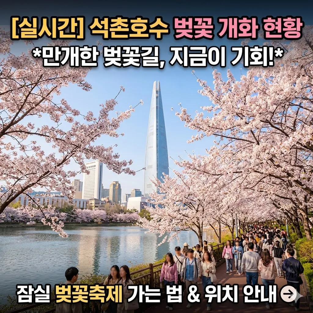 석촌호수 벚꽃 실시간 개화 현황 및 잠실 벚꽃축제 가는 법