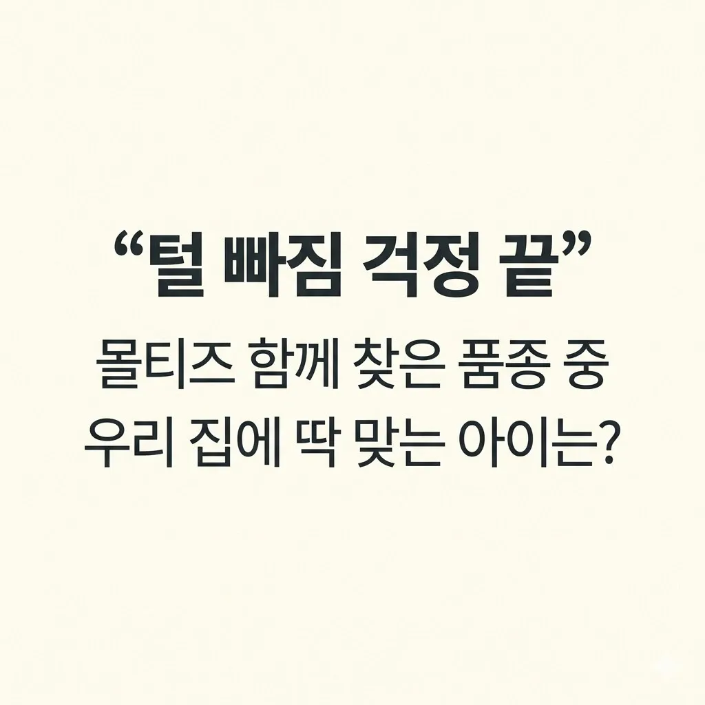 "털 빠짐 걱정 끝" 몰티즈함께찾은품종 중 우리 집에 딱 맞는 아이는?