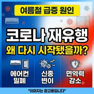 코로나 재유행 왜 다시 시작됐을까 여름철 코로나 재유행 주요 원인과 예방 수칙