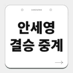 안세영 결승 중계